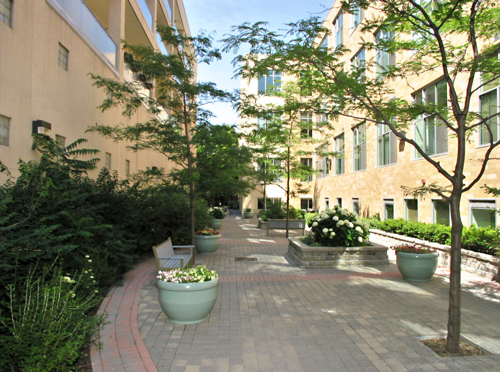 Kensington Market Lofts @ College - Spadina - garden